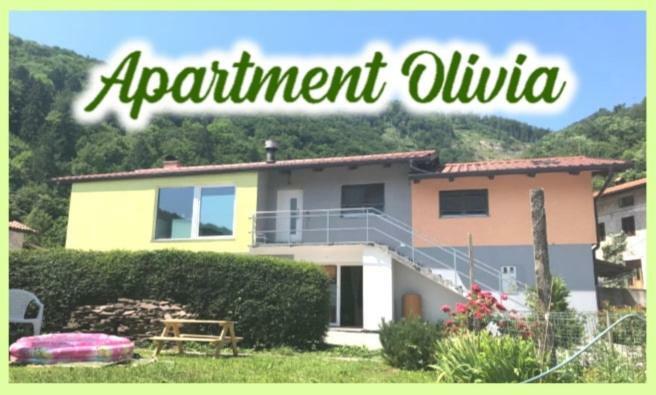 Apartment Olivia Ciginj ภายนอก รูปภาพ